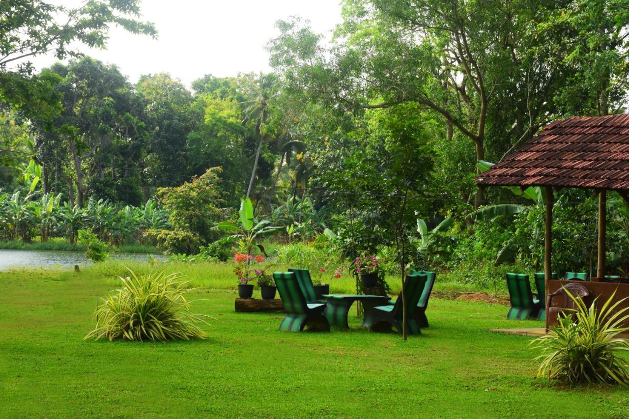 Canal Side Safari Resort Удавалаве Экстерьер фото
