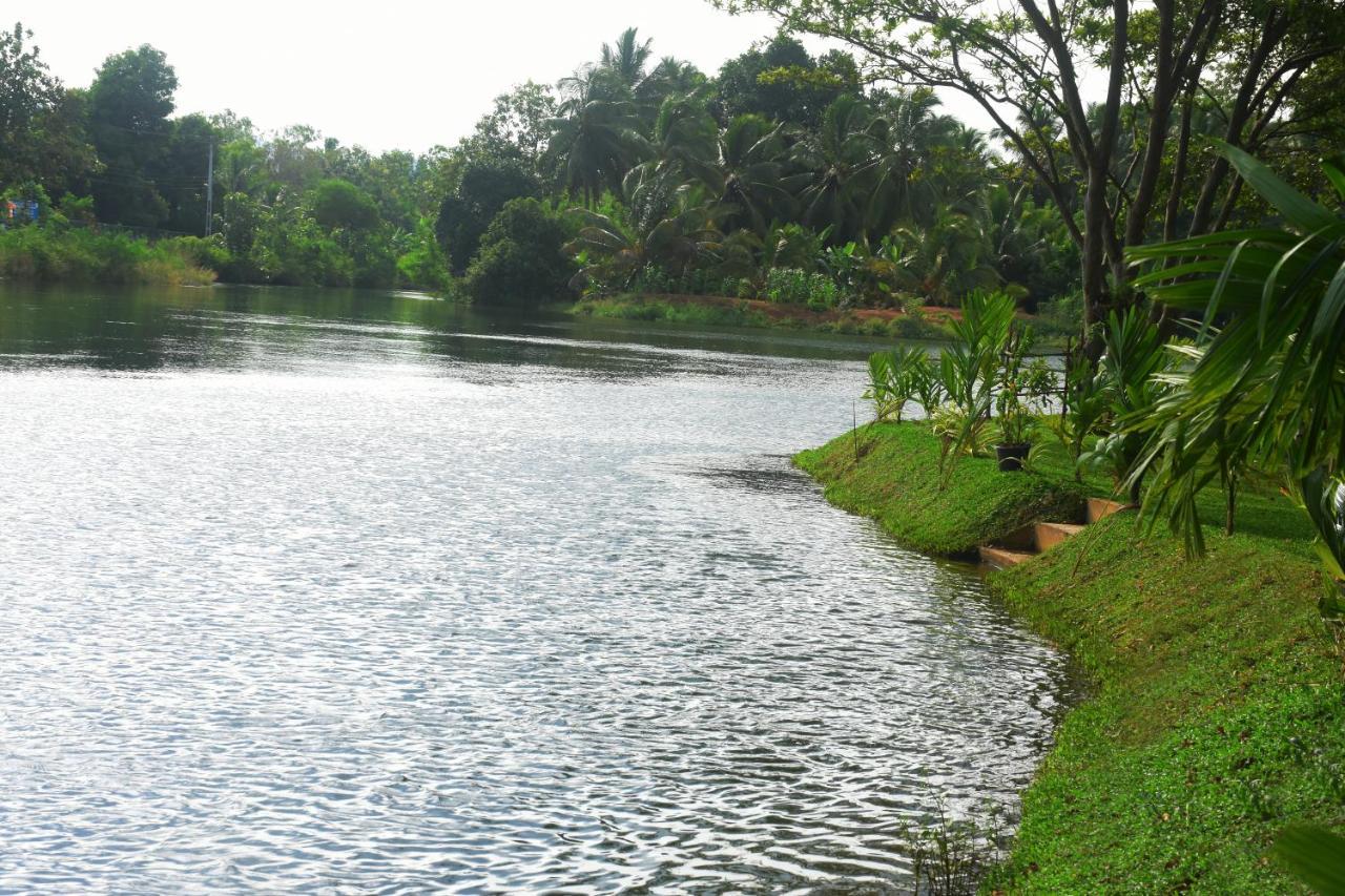 Canal Side Safari Resort Удавалаве Экстерьер фото