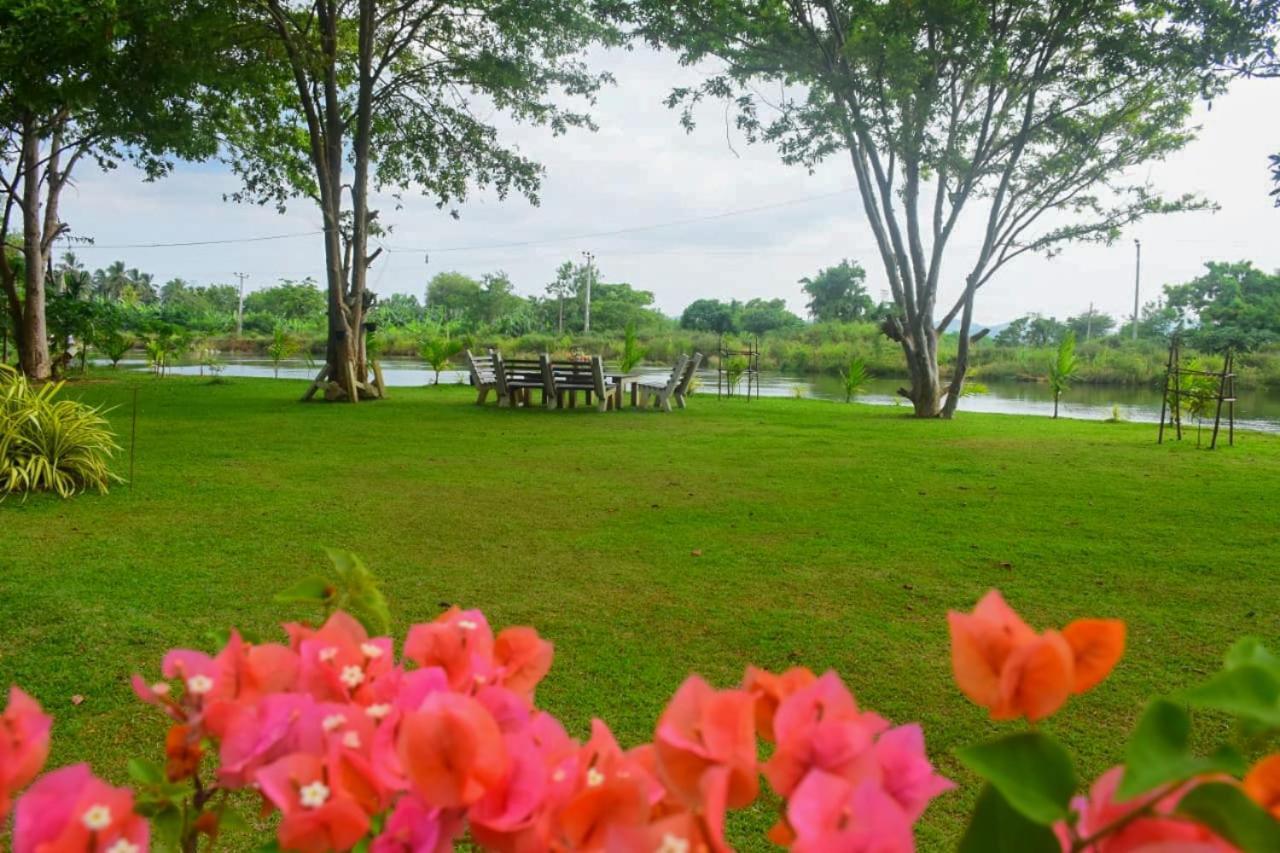 Canal Side Safari Resort Удавалаве Экстерьер фото