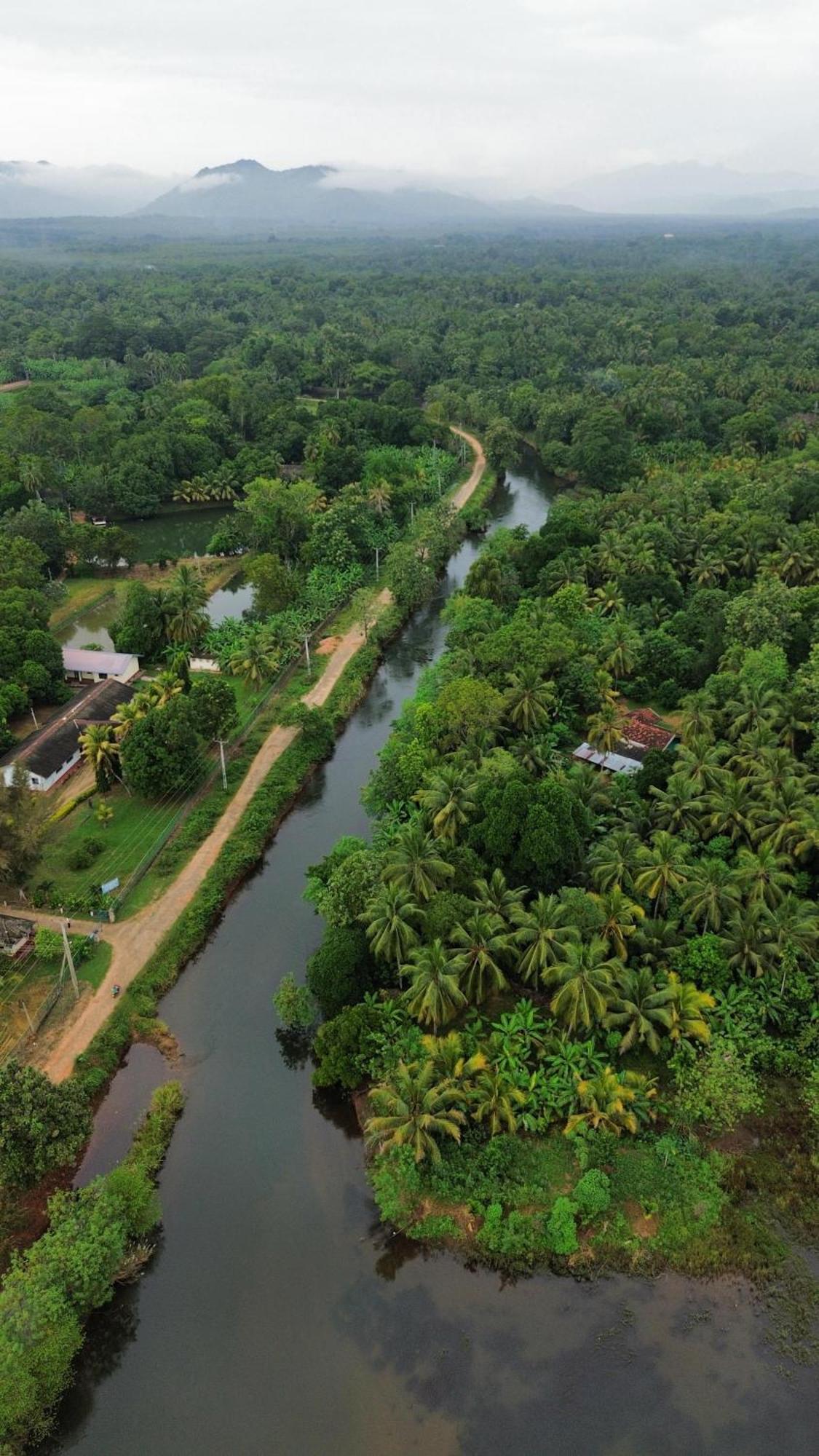 Canal Side Safari Resort Удавалаве Экстерьер фото