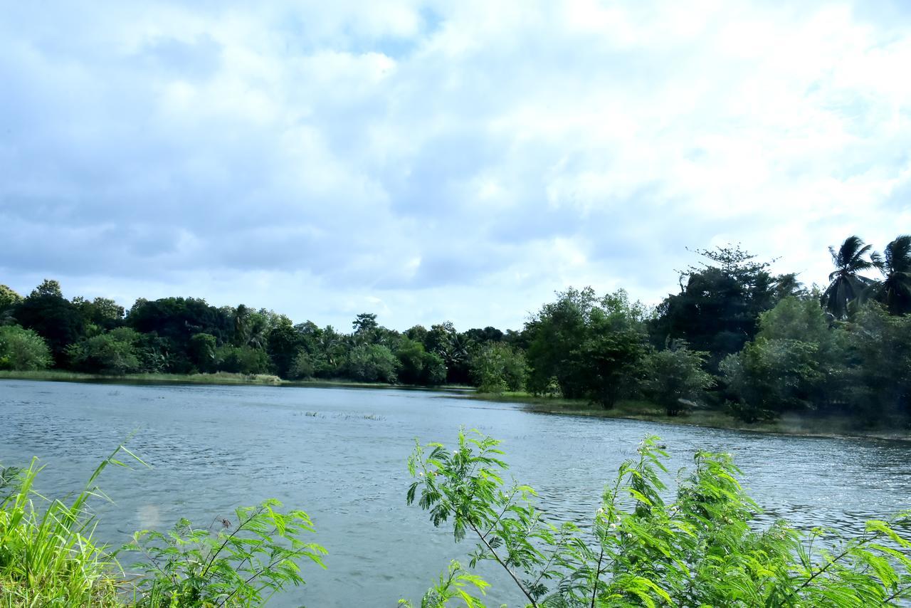 Canal Side Safari Resort Удавалаве Экстерьер фото